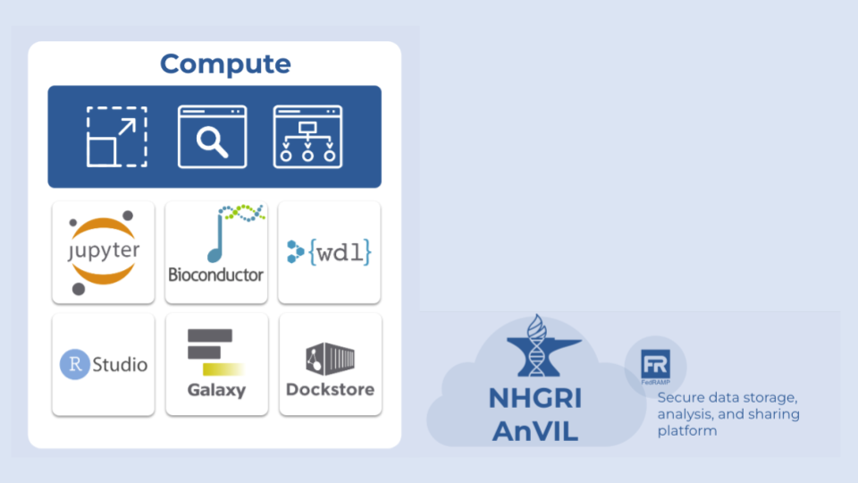Compute options available on the AnVIL include Jupyter notebooks, workflow description languages, RStudio, and Galaxy