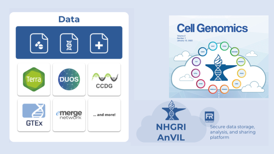 Data options available through AnVIL include several consortia datasets including GTEx