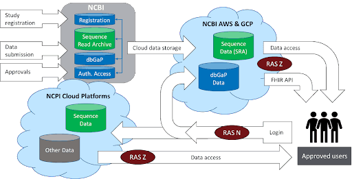 NCBI Architecture